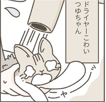 ドライヤーこわい！我が家で初めてのシャンプー体験