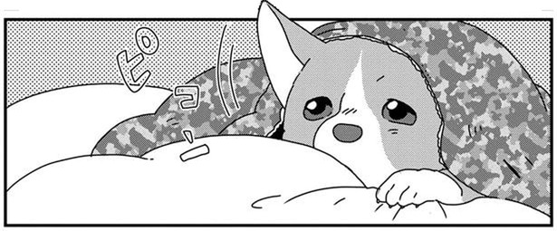 お、起きた？キャンピングカーで愛犬と一緒にモーニング