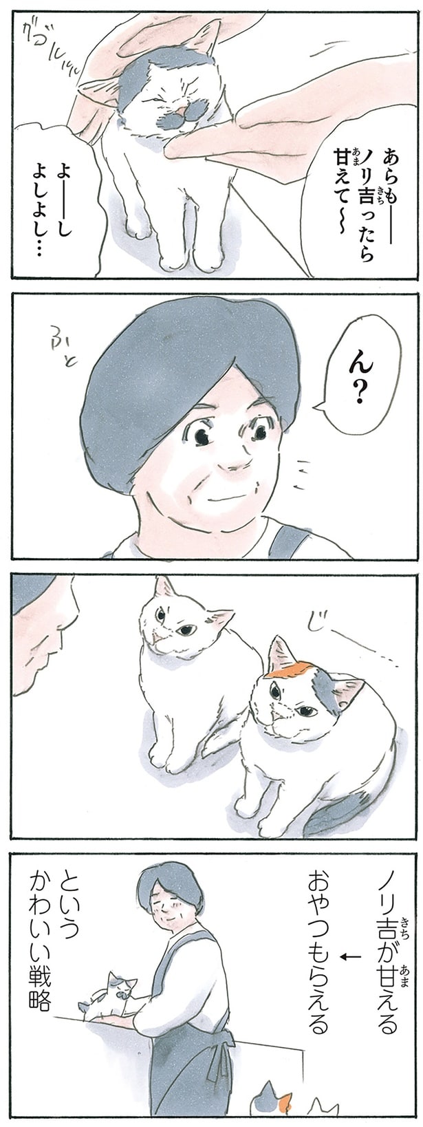 ノリ吉システム