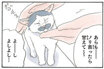 子猫が甘えてきてたまらん！ けれど、足元には戦略を抱えた二匹の猫が