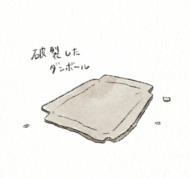 破裂したダンボール