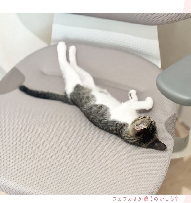 フカフカさが違うのかしら？