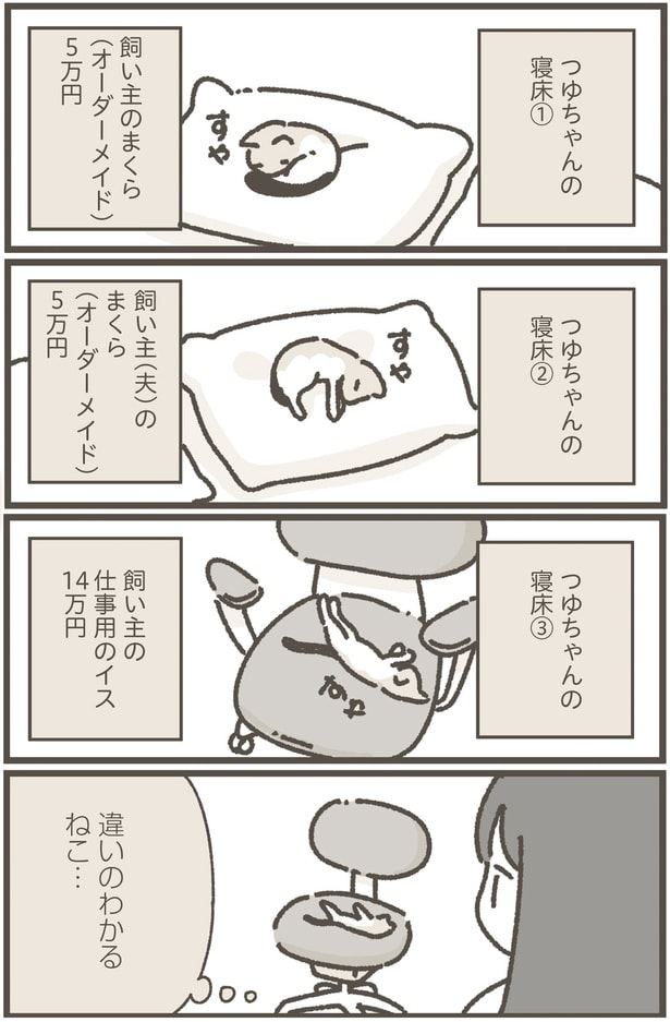 違いのわかるねこ…