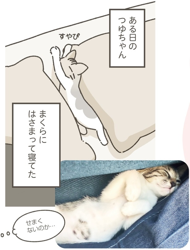 まくらにはさまって寝てた