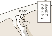 やっぱりねこは隙間が好き？まくらの間ですやすや