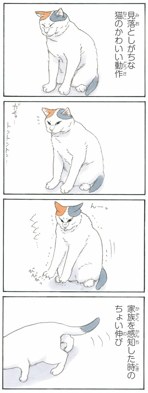 私の好きな猫の動作