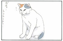見落としがちだけど最高に可愛い！ 飼い主が大好きな猫の仕草