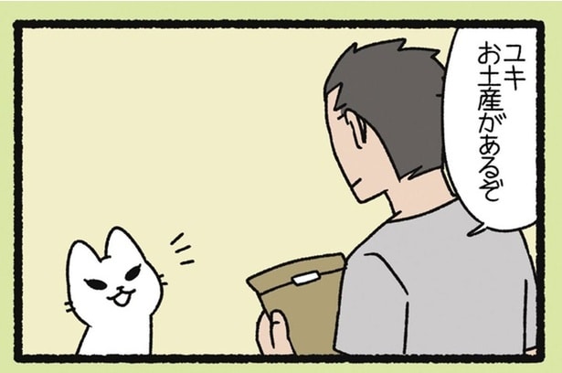 お土産のセンスが微妙。飼い主に無言の抵抗をする「ゆきおんな」