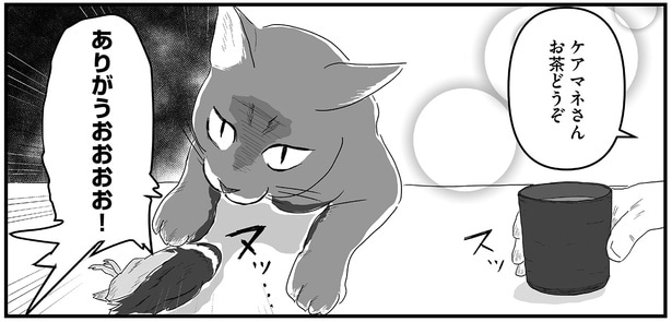 うわびっくりした! ケアマネがヒアリングしている最中に突如乱入する猫