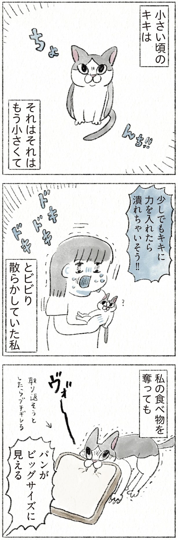 それはそれはもう小さくて