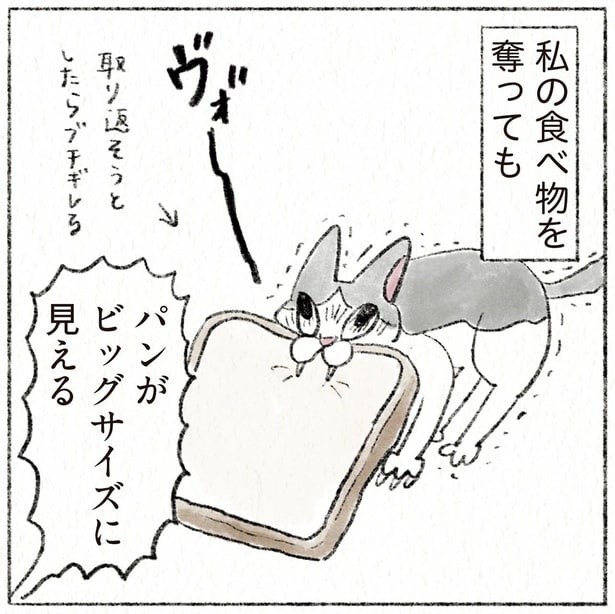 パンがビッグサイズに見える