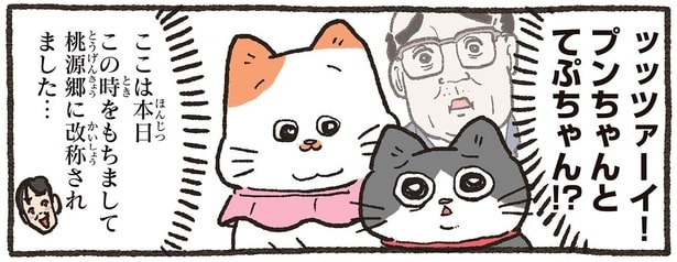 ここは桃源郷!? 愛猫に出迎えられ、窓の外にも猫ちゃんたちが!