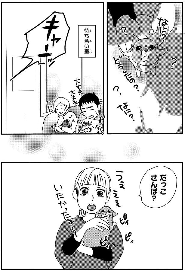 だっこさんぽ？