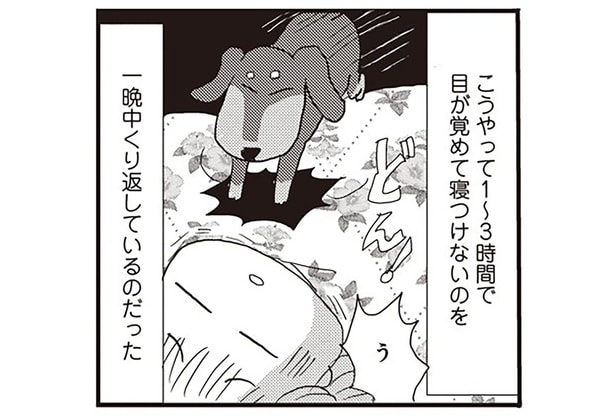 寝つけない、すぐ目が覚める。アラフィフ妻の更年期と眠りの問題