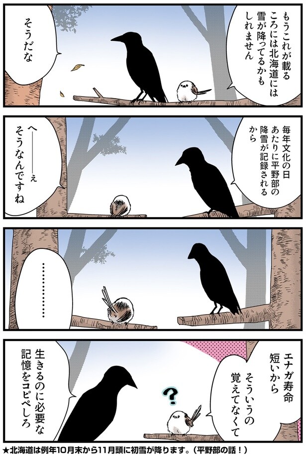 エナガ寿命短いから