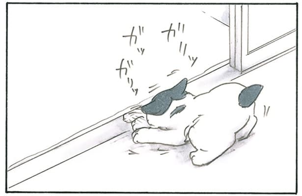 真剣にホリホリ