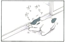 何してるの？ 熱心に溝を掘っている子猫が探しているものは