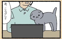 オンライン会議はお手のもの。飼い主を「猫の手」でお助け！