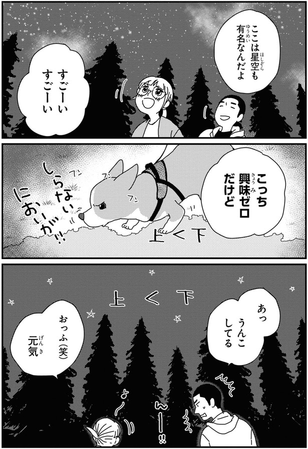 星空も有名なんだよ