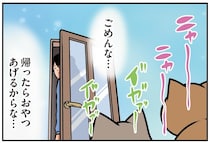 猫たちに惜しまれながら出かけたいのに。理想と現実のギャップがすごい