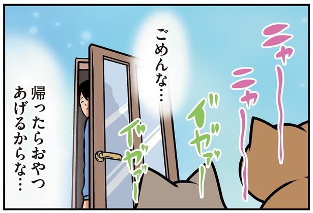 猫たちに惜しまれながら出かけたいのに。理想と現実のギャップがすごい