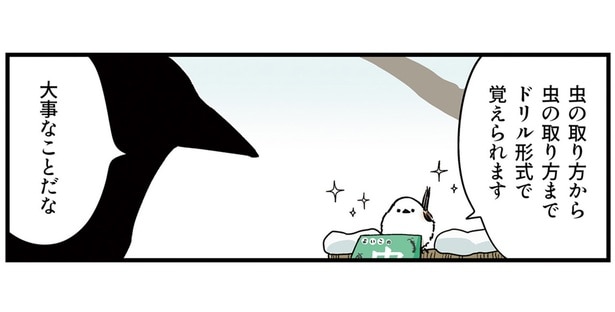 ドリル形式で覚えられる