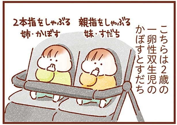 一卵性双生児のかぼすとすだち