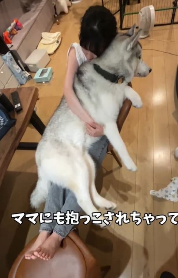 ママに抱っこしてもらう「大きな赤ちゃん」▶ふだんのスノウ君の様子（⇒次へ）