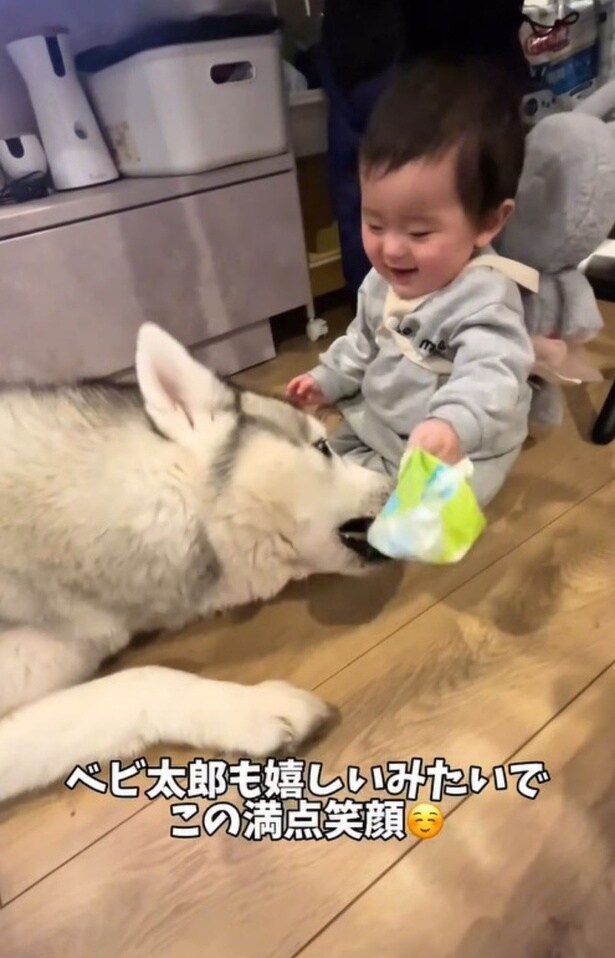 スノウ君の側で遊ぶベビ太郎君▶ベビーシッターならぬ「スノウシッター」（⇒次へ）