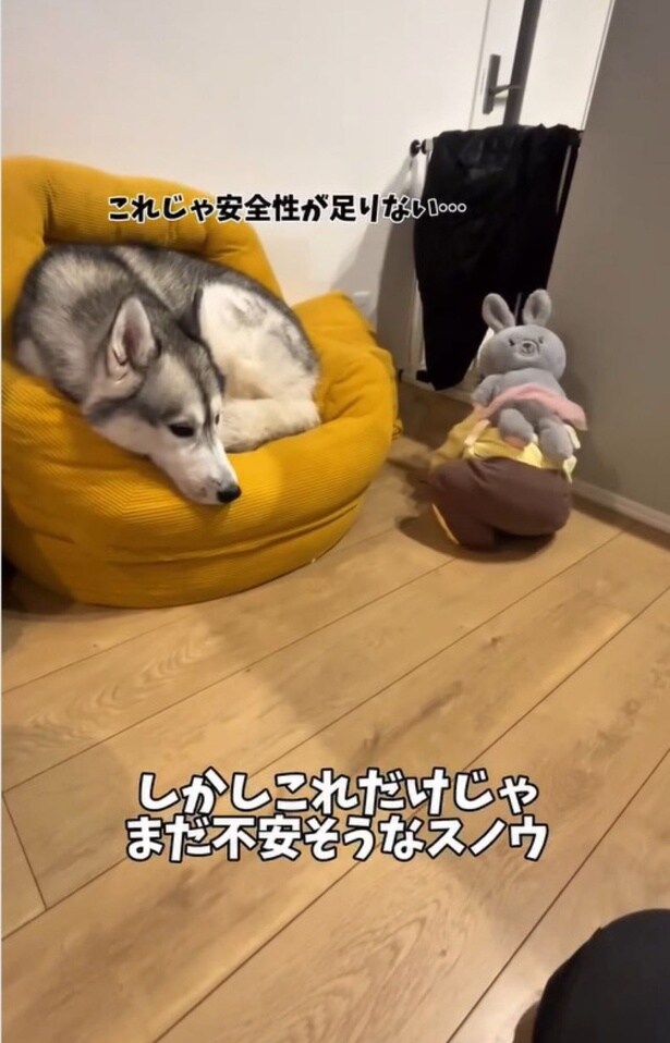 ベビ太郎君が転ばないか不安げなスノウ君▶お兄ちゃんが守るからな！（⇒次へ）