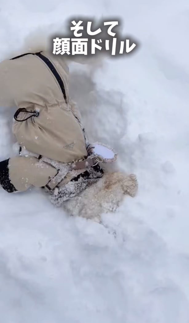 雪に顔を押し付けながら顔面ドリル！▶衝撃の姿に大変身（⇒次へ）