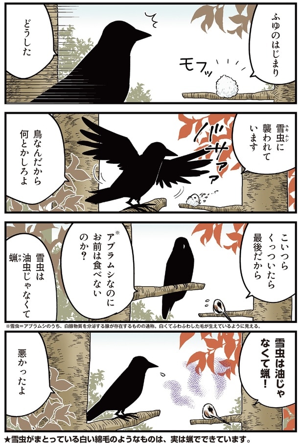 ふゆのはじまり