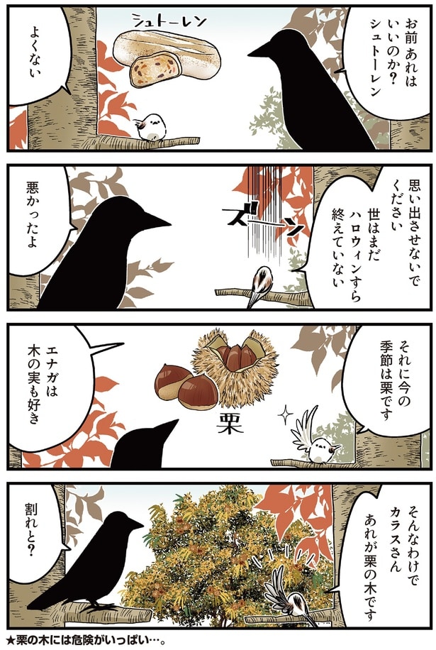 今の季節は栗です