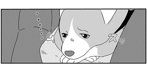 「じゃあお留守番ね」しょんぼりするワンコに伝えたかった想い