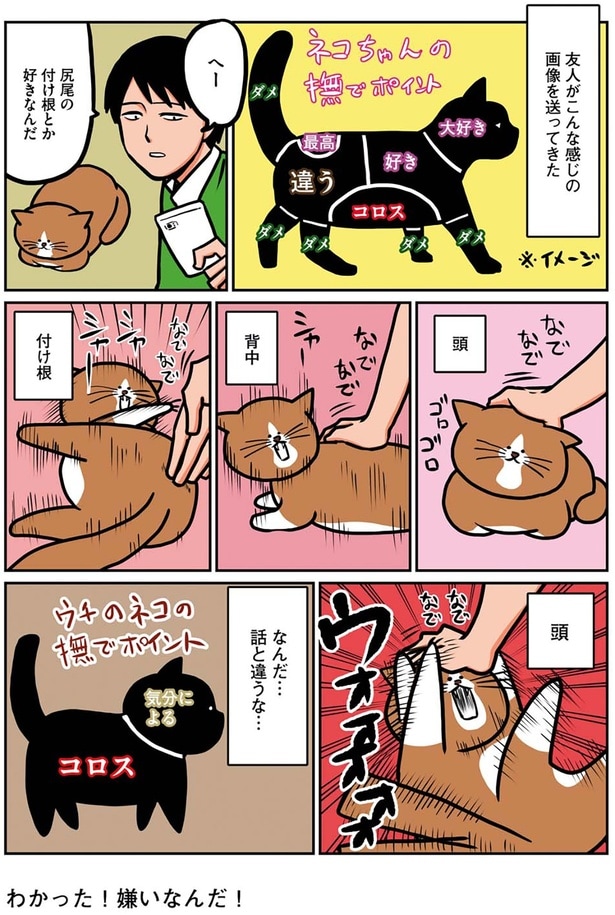 うちの猫の撫でポイント