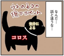 尻尾の付け根とか好きなはずでは？ うちの猫の「なでポイント」が話と違いすぎ