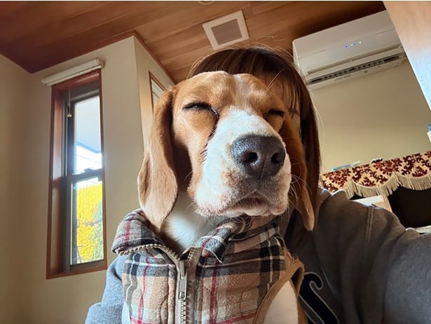 何かを悟っているかの表情…▶眠る姿に…（⇒次へ）