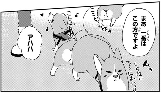 車中泊でワンコとにぎやかな年越し！今年最後のおさんぽ納めへ