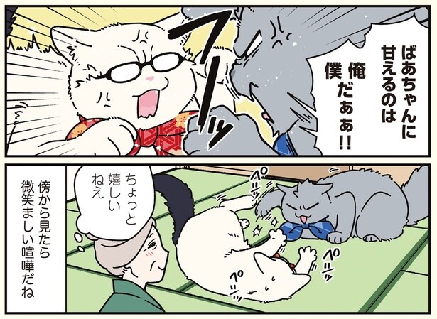 微笑ましい喧嘩だね