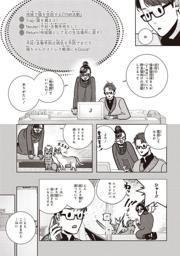 「地域猫」でいいんだ！