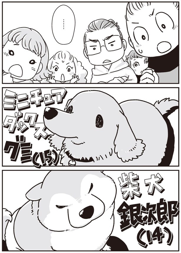 2匹の犬