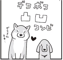 仲良しだったミニチュアダックスの「グミ」と柴犬の「銀次郎」。久しぶりに再会すると？