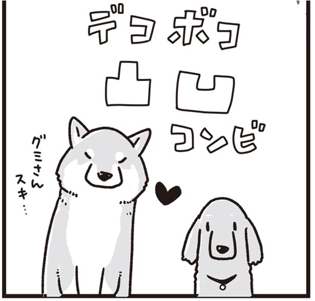 仲良しだったミニチュアダックスの「グミ」と柴犬の「銀次郎」。久しぶりに再会すると？