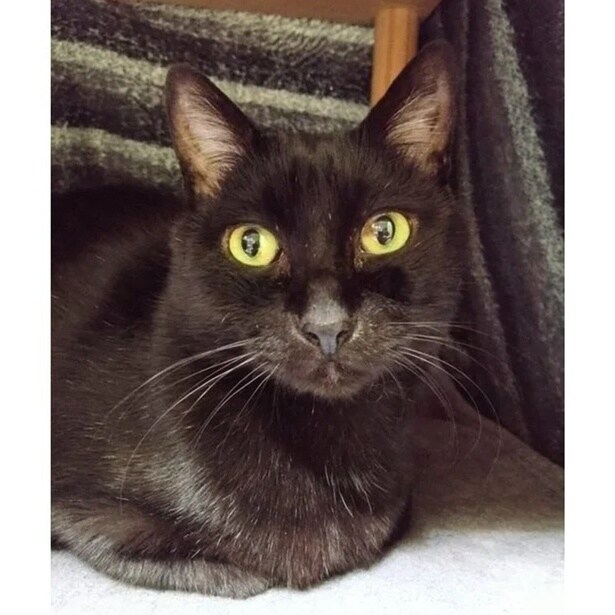 話題となった実陽（みはる）ちゃんの普段の姿