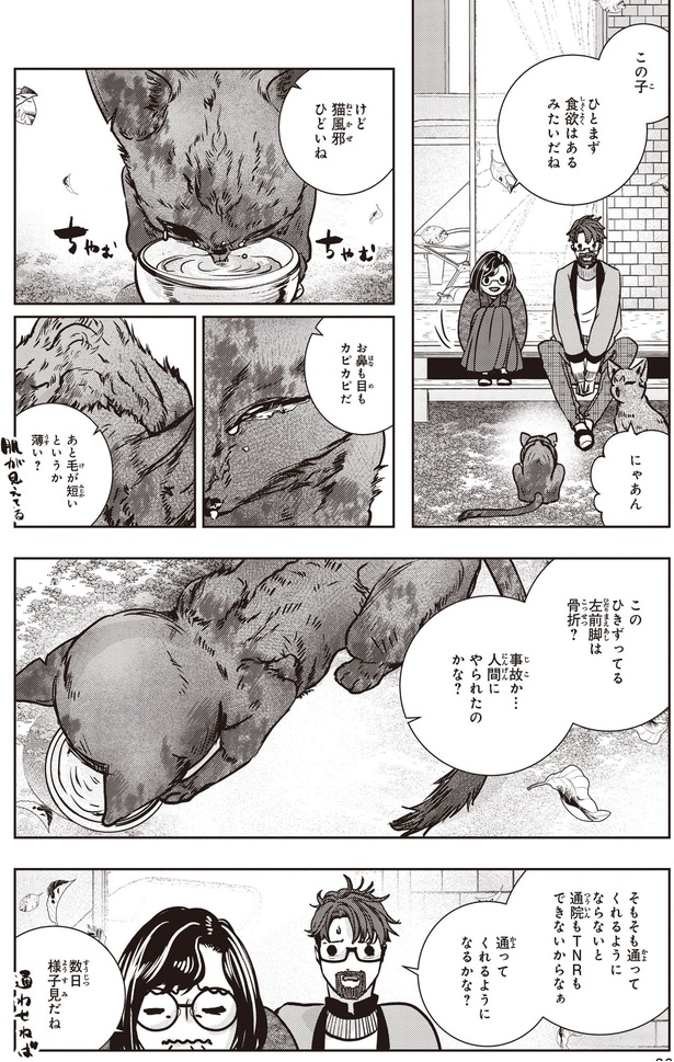 通ってくれるようになるかな？