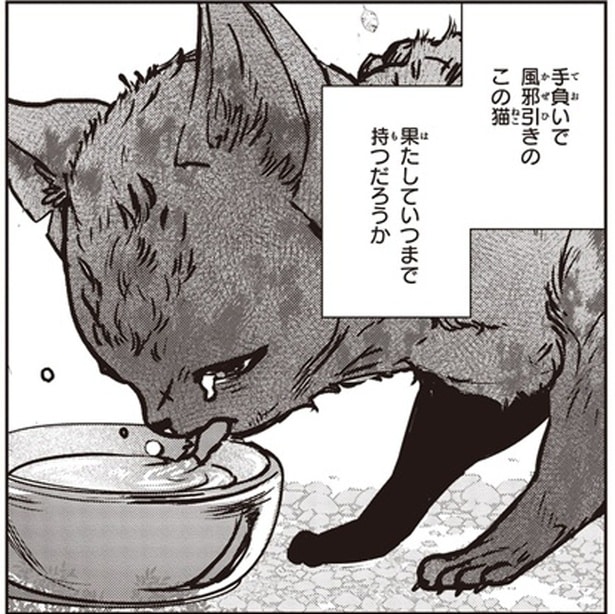 命は繋がったけれど。傷だらけの子猫が生きるのは、弱い者は淘汰される厳しい世界／スローステップ朔太郎 上（5）