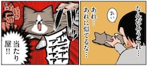 なぜ体当たりしてきて被害者ヅラ？猫のやってることがまるで当たり屋！