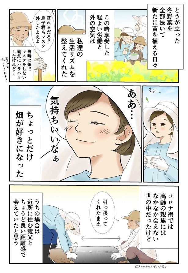 ちょっとだけ畑が好きになった