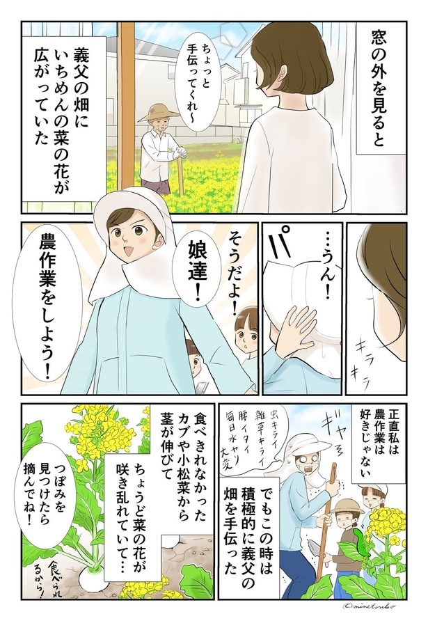 義父の畑に菜の花が