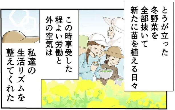 ちょっぴりほろ苦い「菜の花のナムル」の思い出。亡くなった義父と最後に交わした言葉は／季節を味わう､夫婦の台所